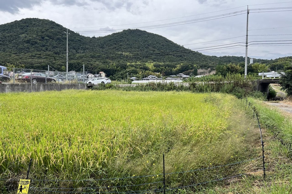 農地売買。農振除外申請等の画像